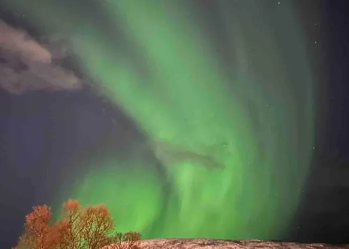 I Tromsdalen